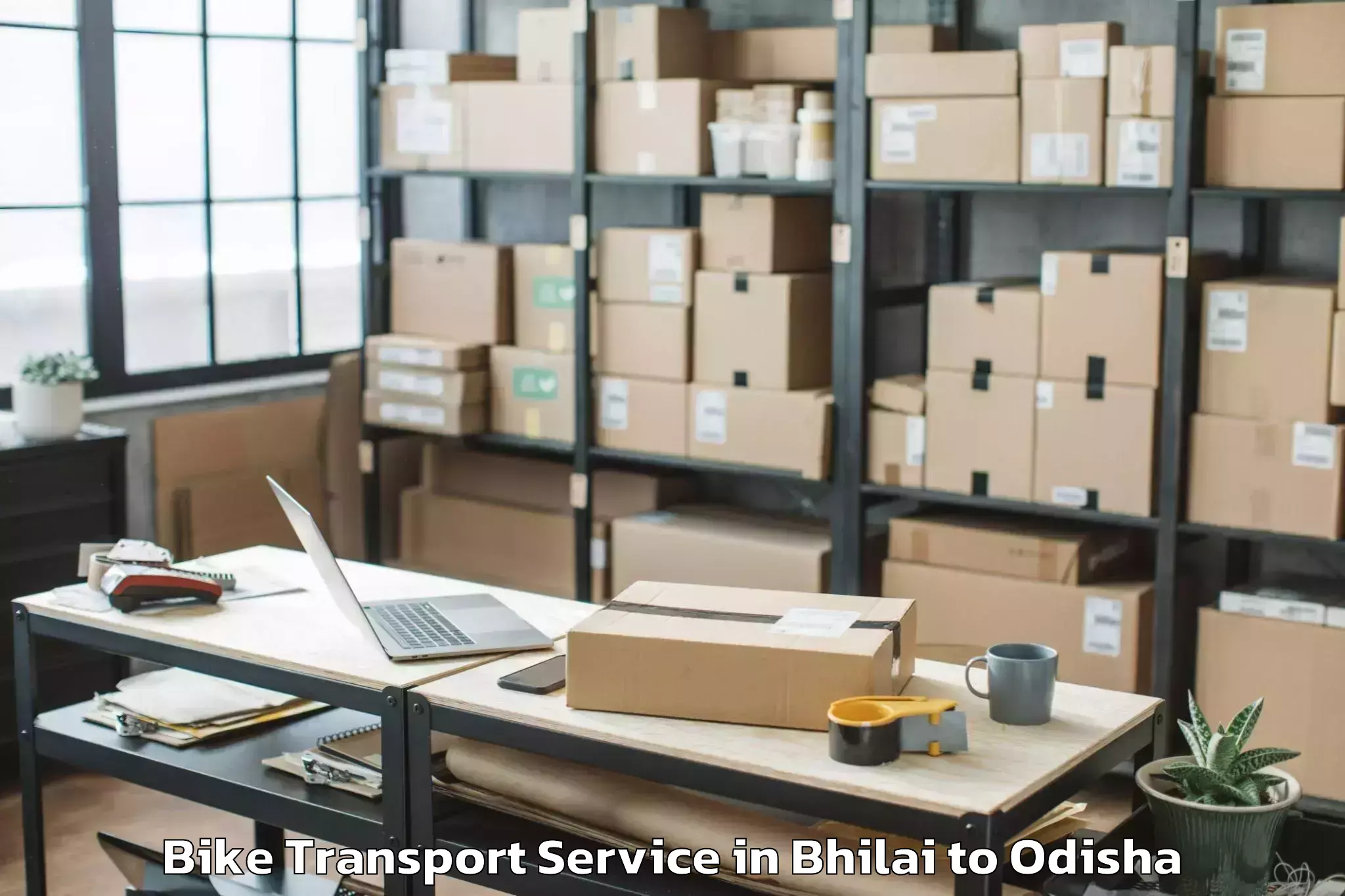 Book Bhilai to Belpara Bike Transport Online